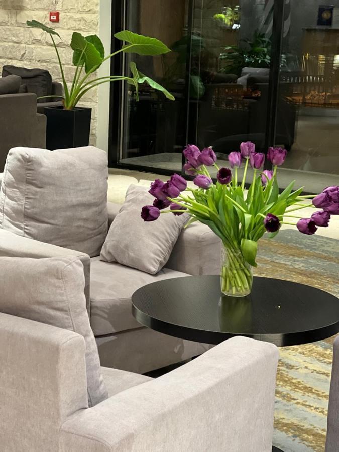Abaash Hotel Afon New Athos Bagian luar foto